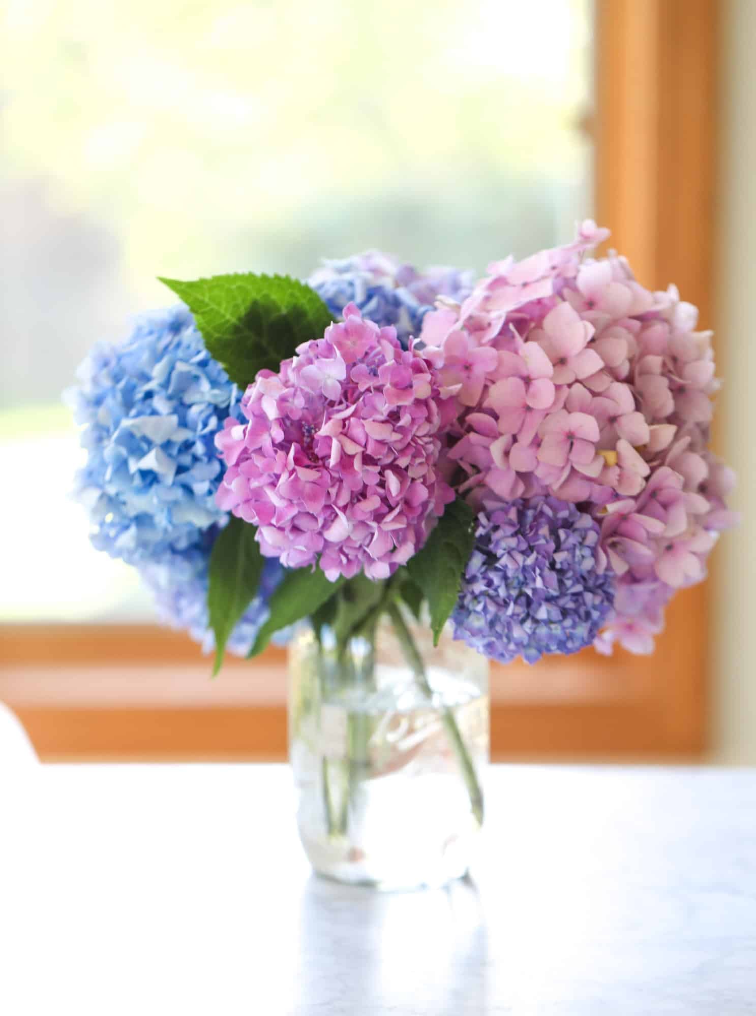 how i deal with the comparison trap I howsweeteats.com