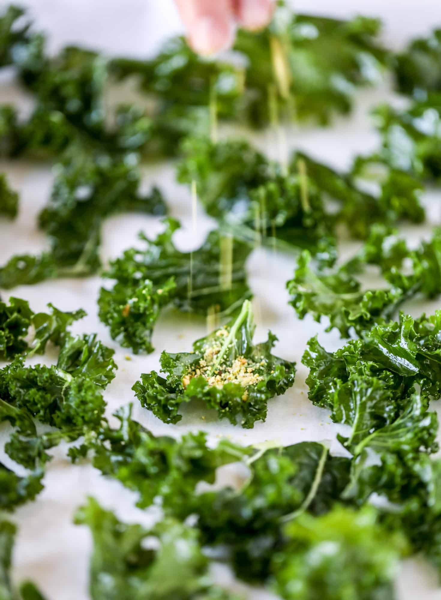 Parmesan pistachio kale chips are an easy and healthy snack - fully of nutty, cheesy flavor and crispy like regular chips! I howsweeteats.com