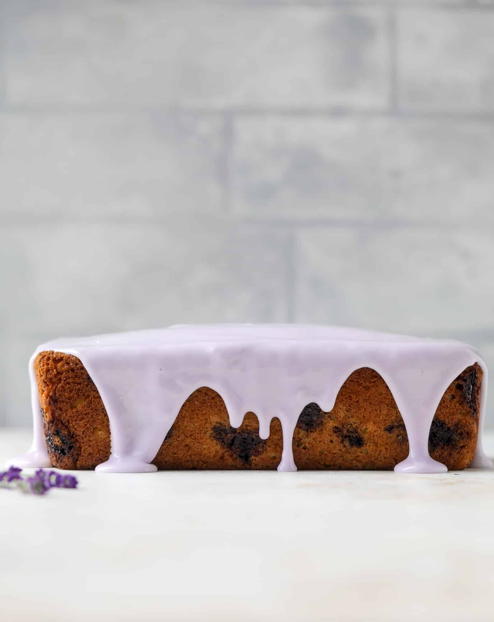 This lovely blueberry ricotta cake is covered in a lavender glaze and the perfect recipe for blueberry season! It's rich and light and super flavorful.