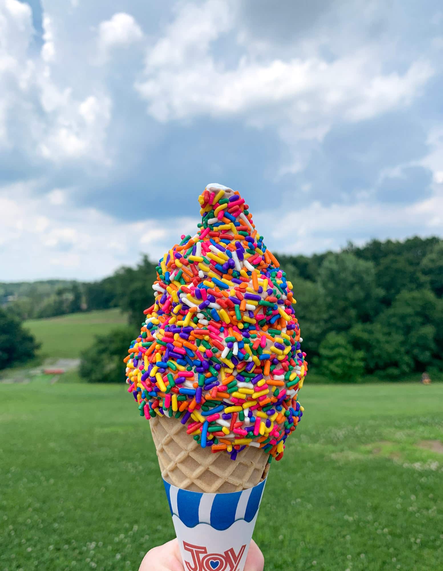 summer fridays I howsweeteats.com