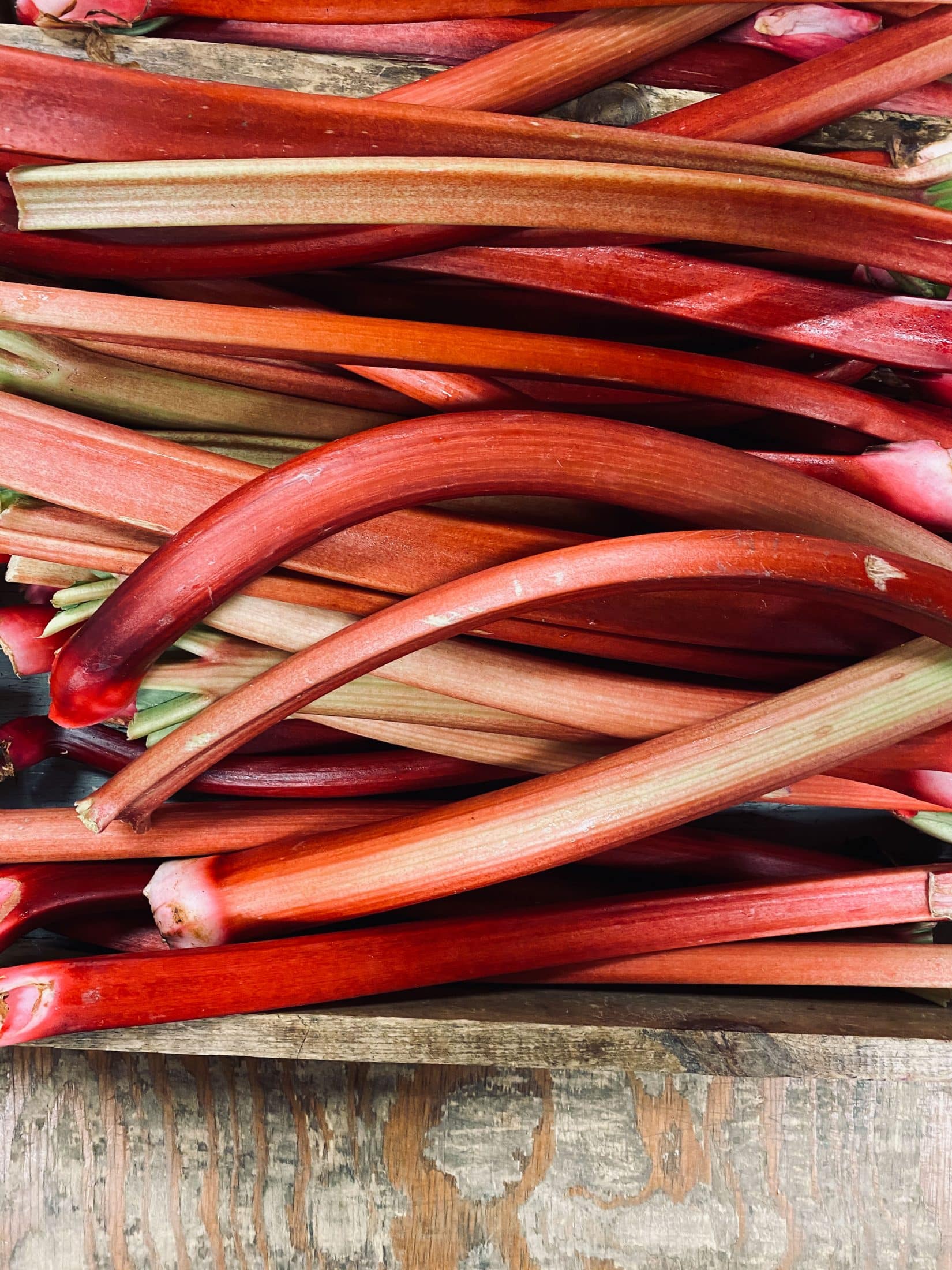 everyday life week 22