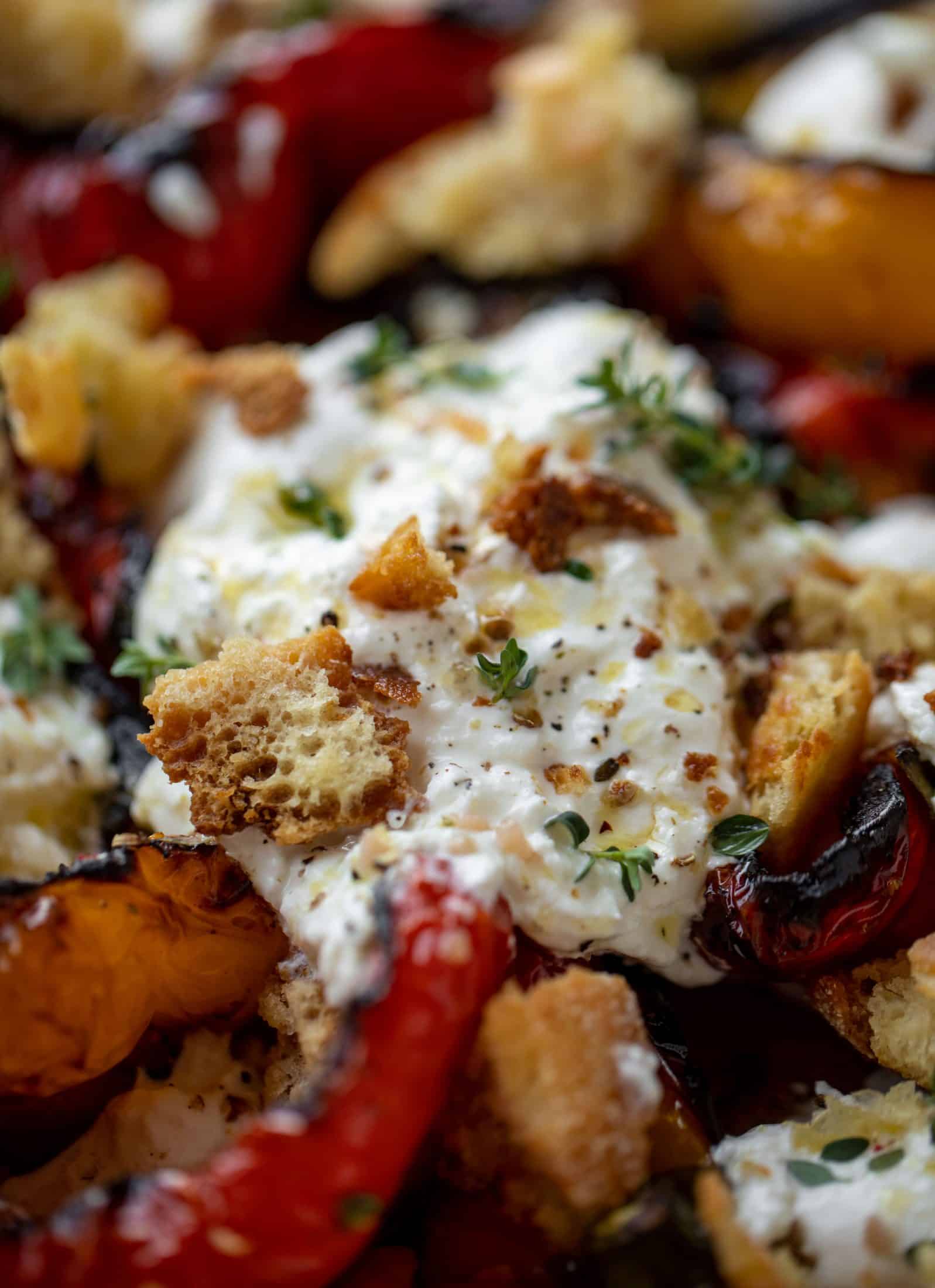 up close burrata with herbs and croutons
