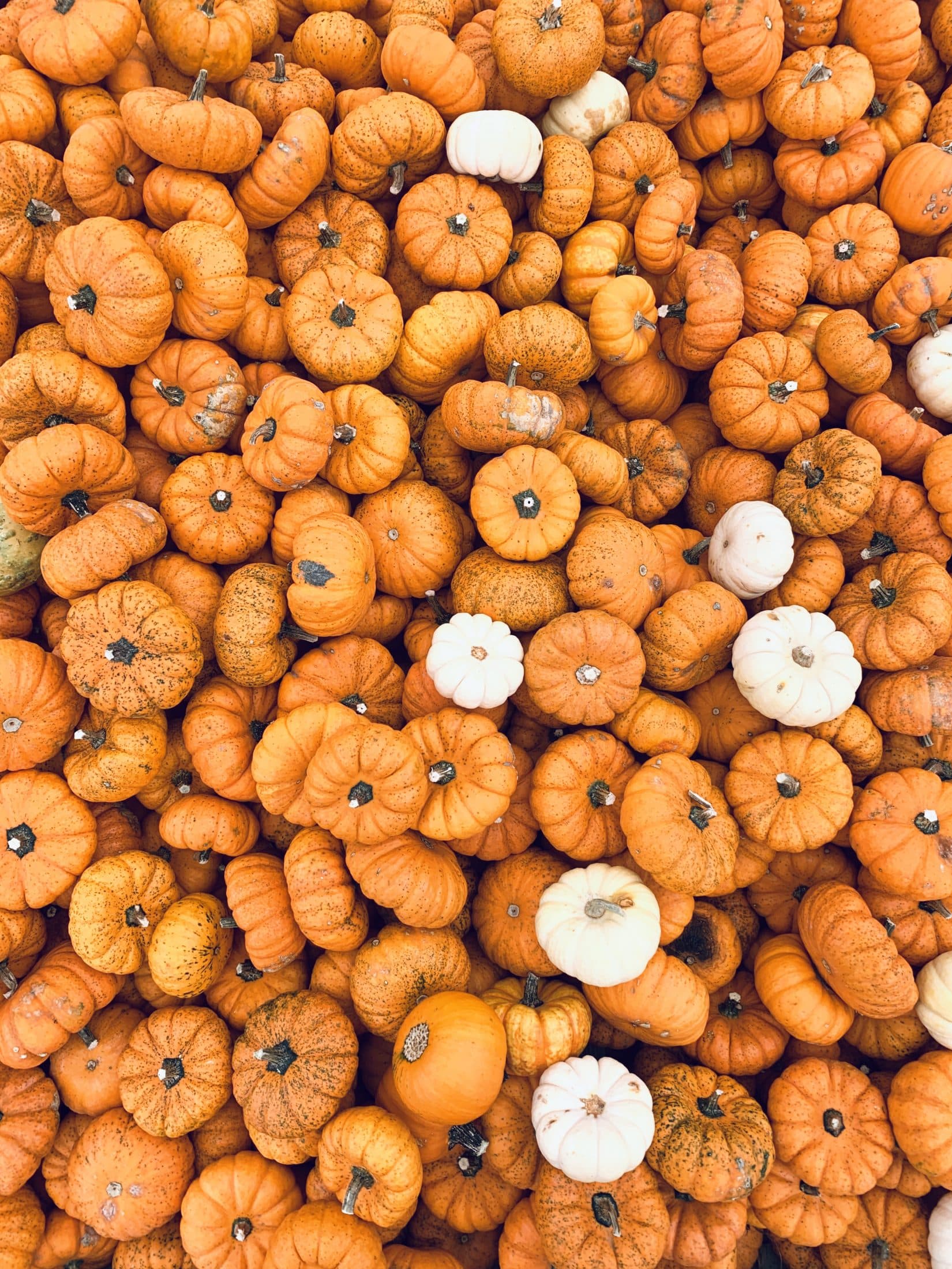 currently crushing on