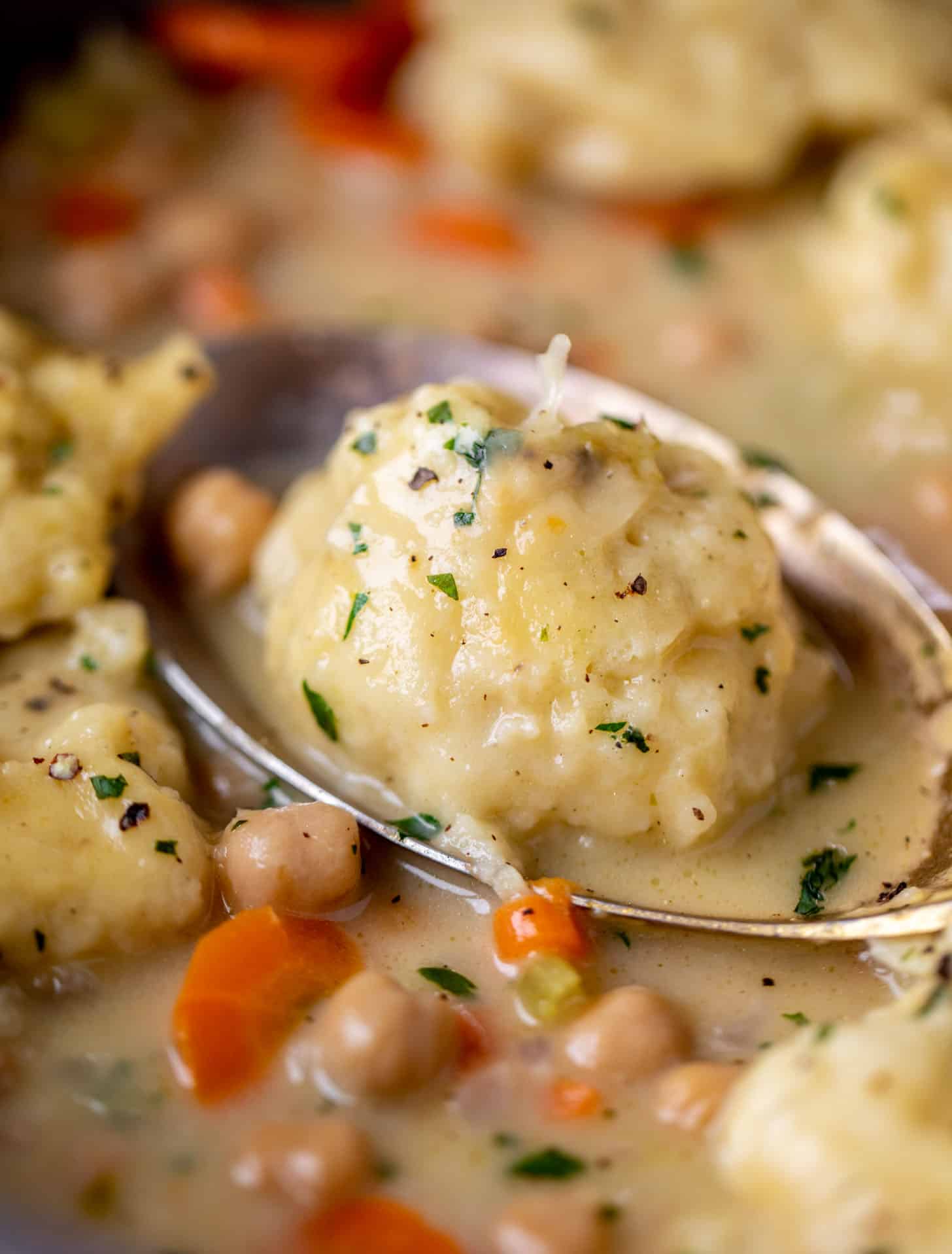 close up of chickpeas and dumplings