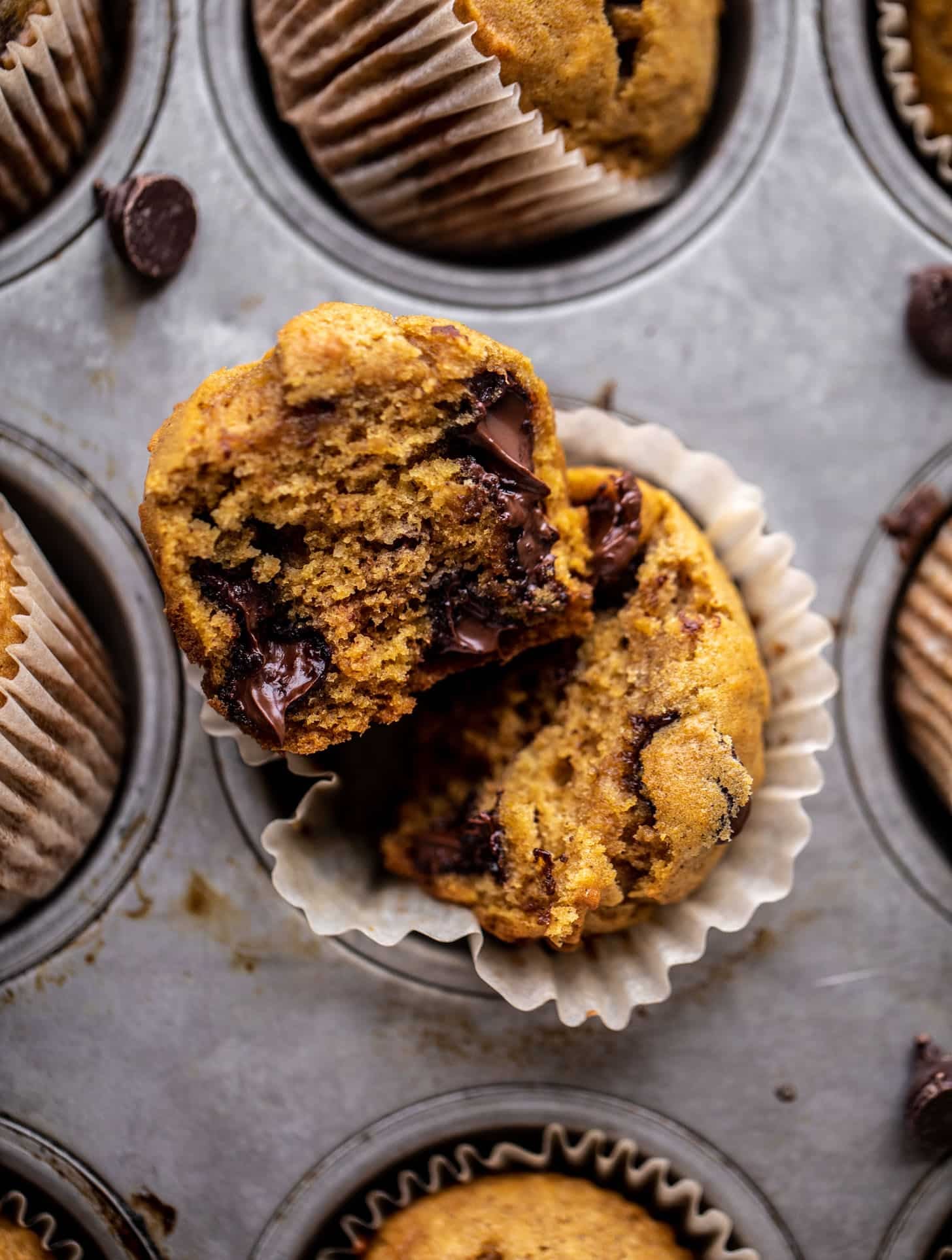 pumpkin chocolate chip muffins