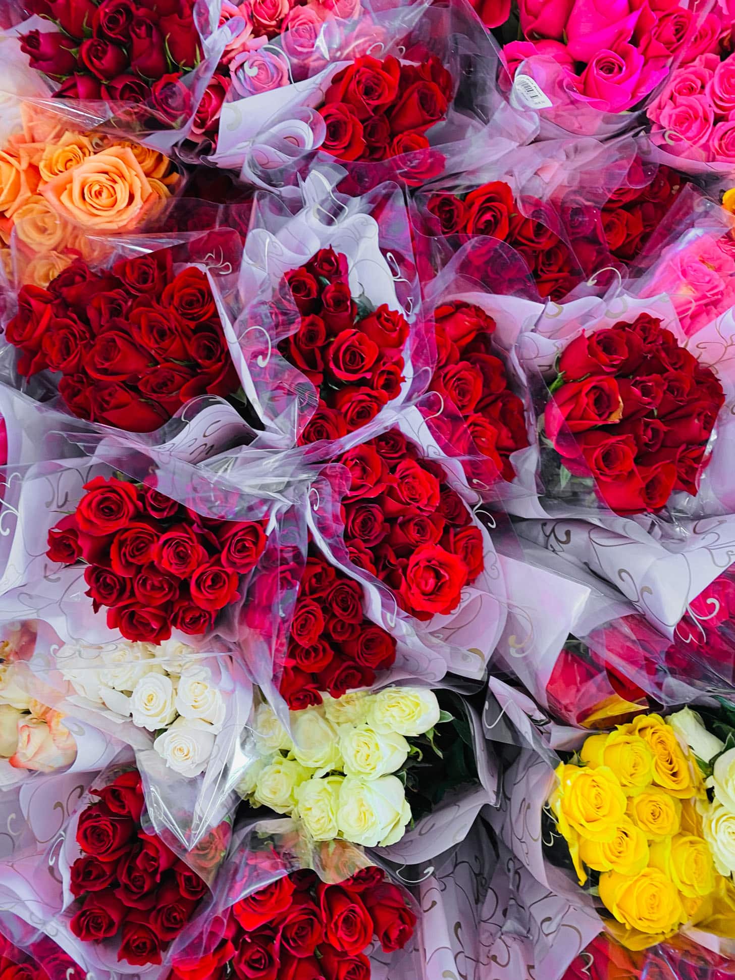 currently crushing on