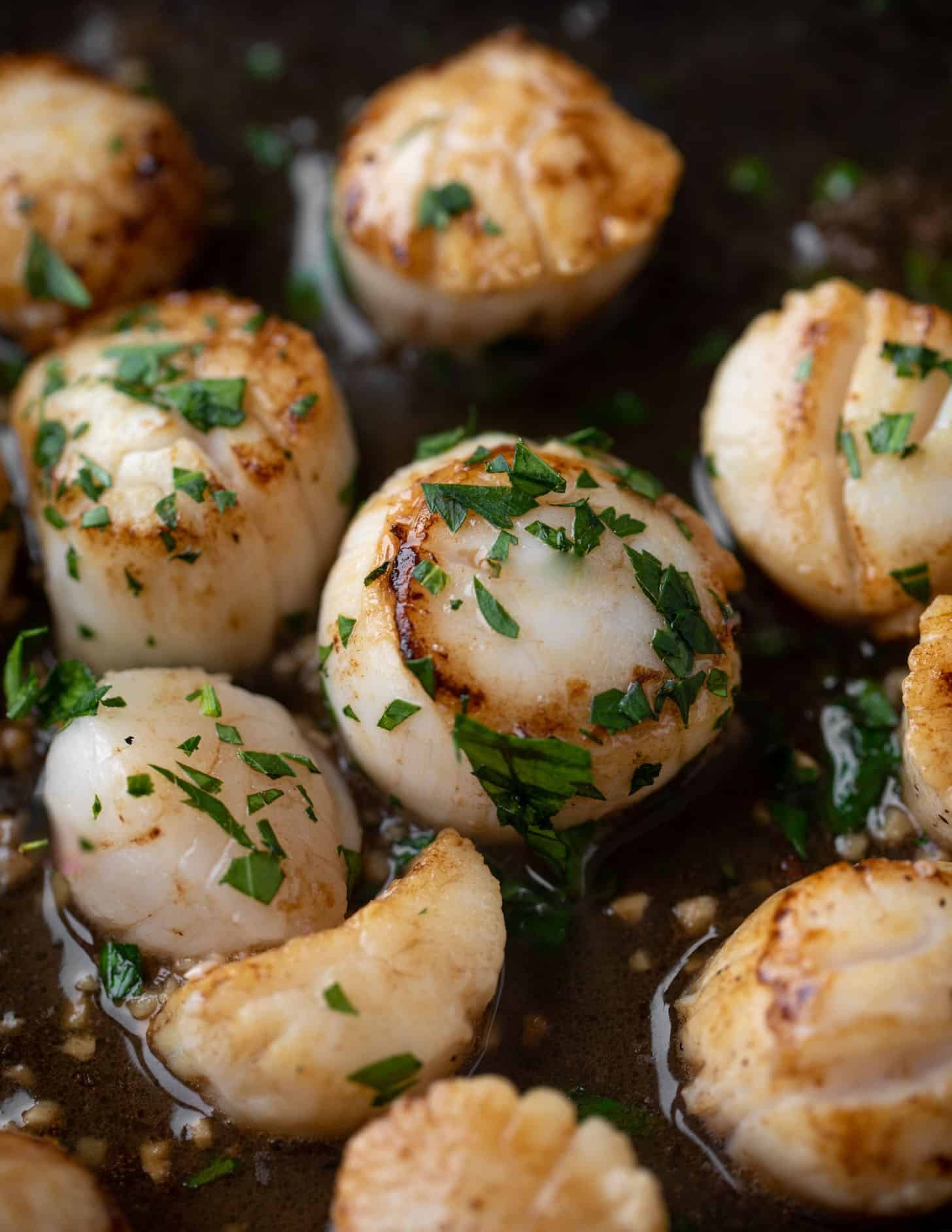 brown butter herb scallops