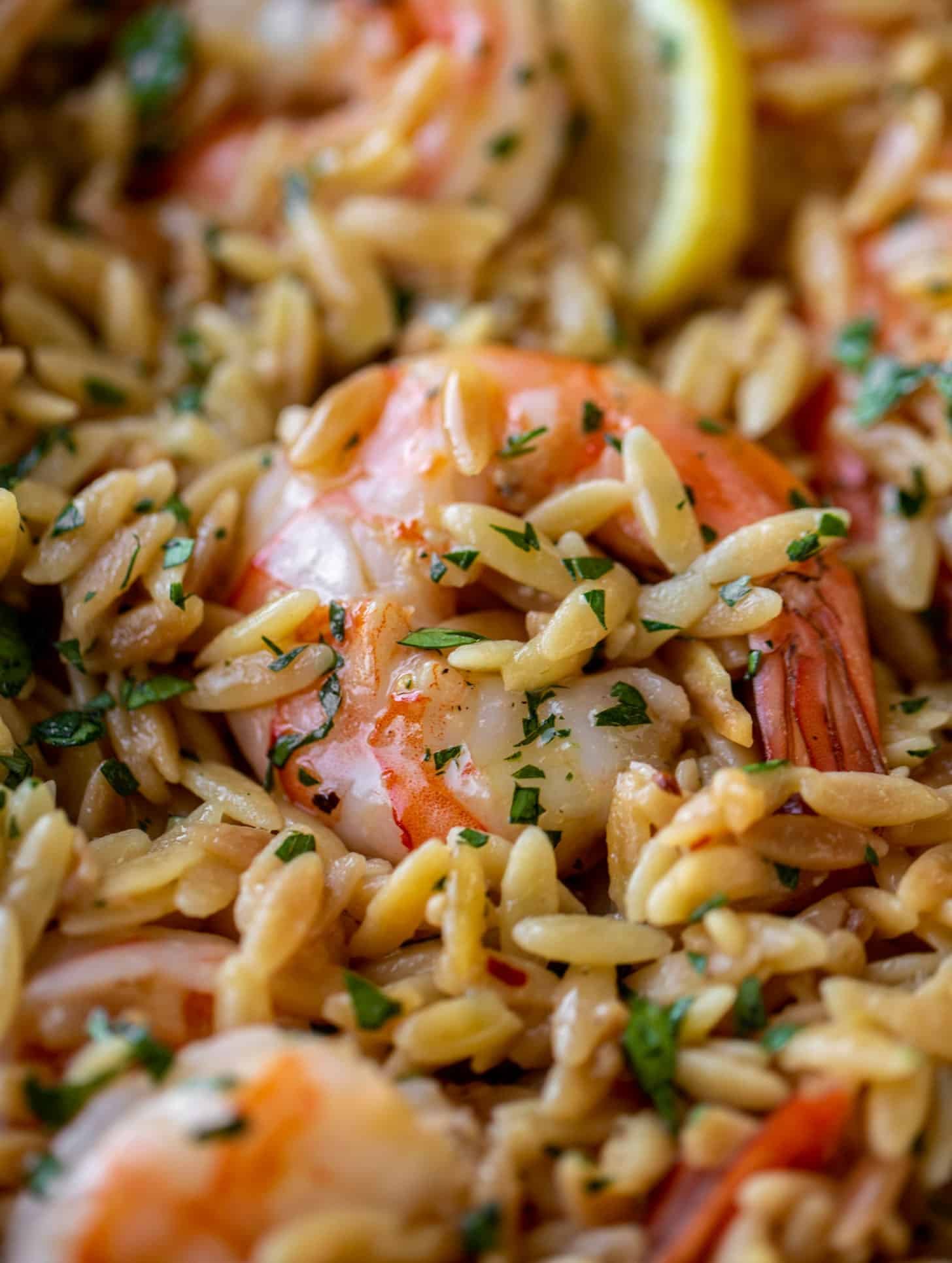 one pot garlic butter shrimp and orzo