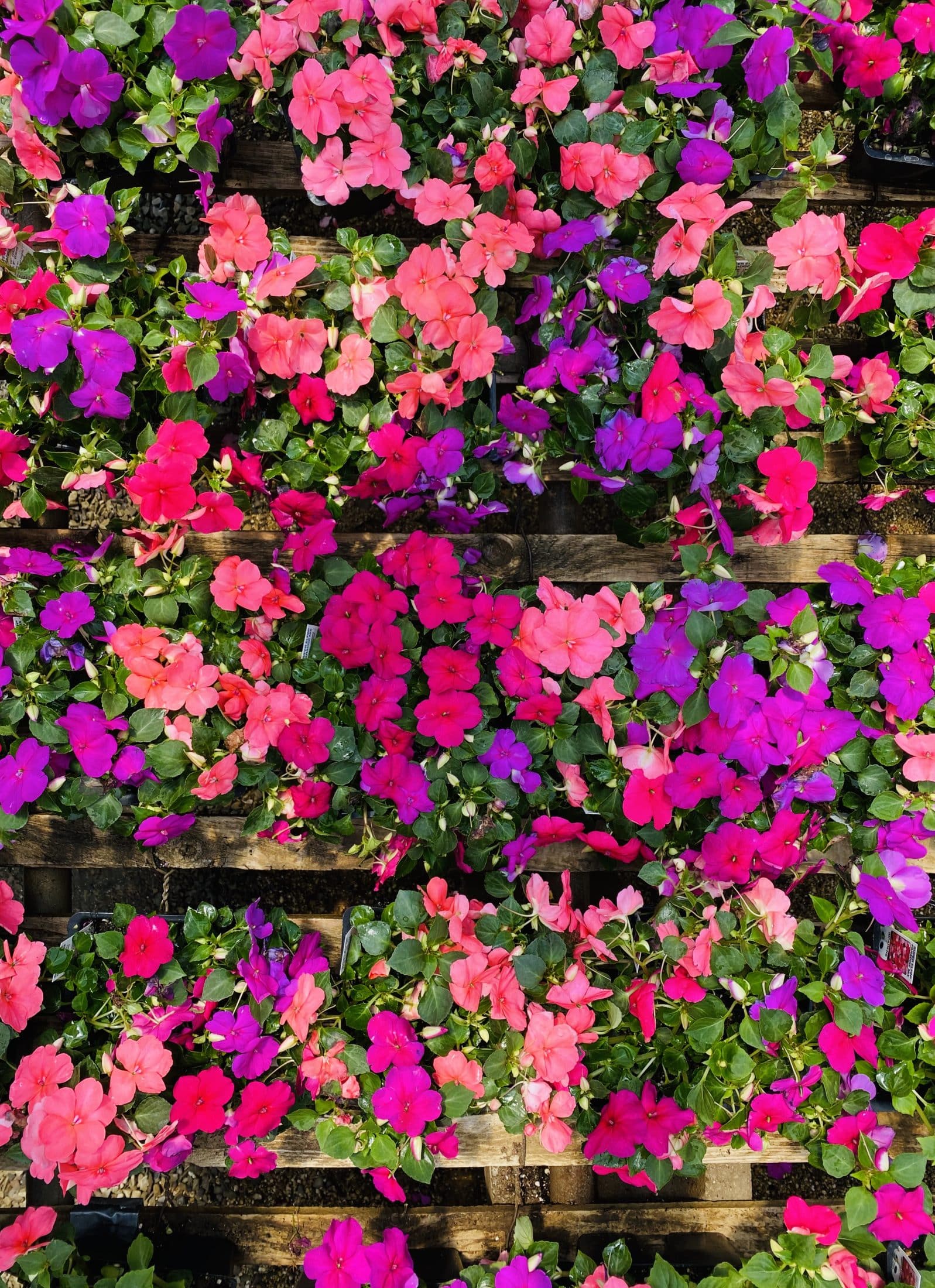 currently crushing on