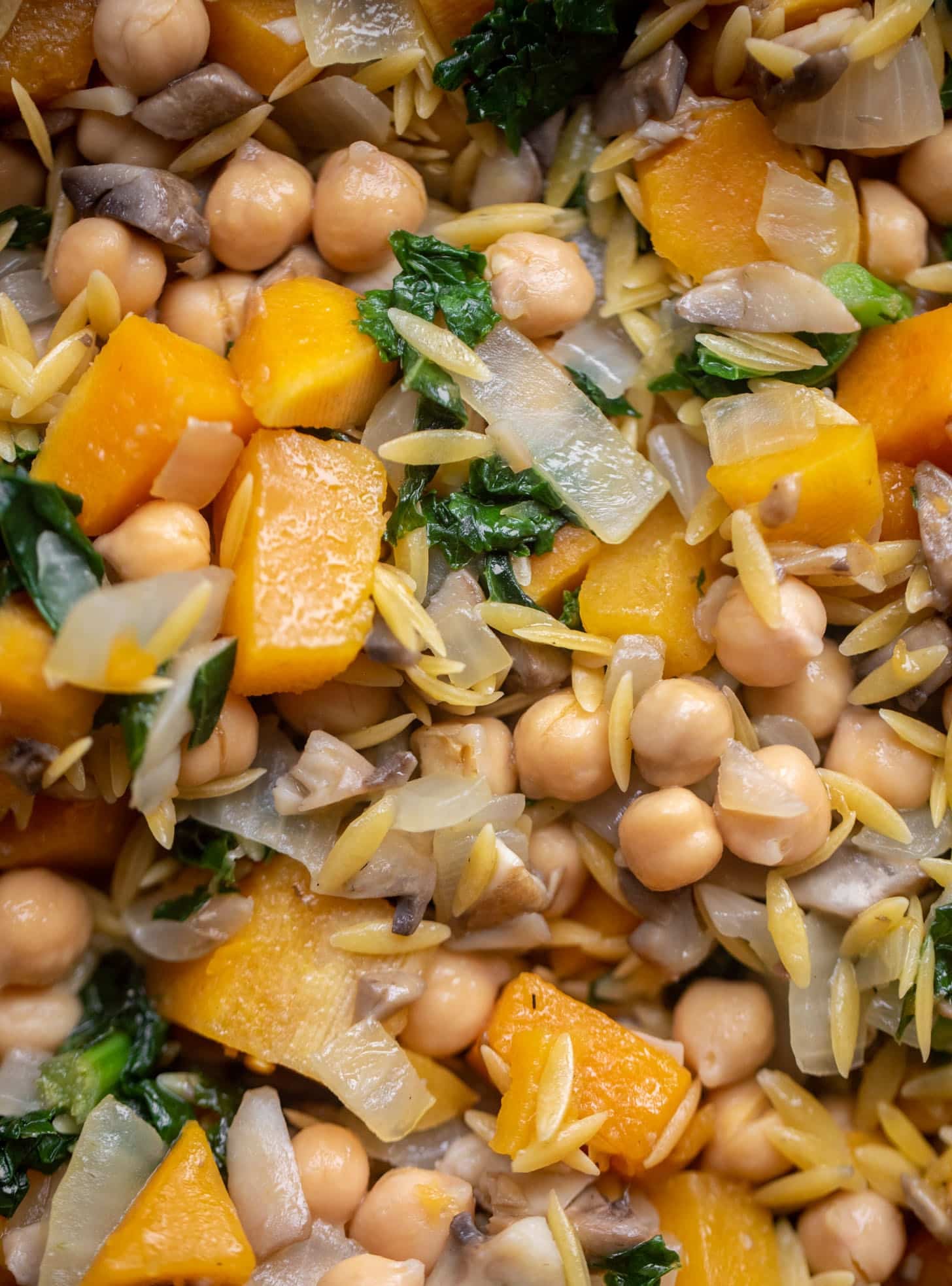 one pot fall vegetable orzo