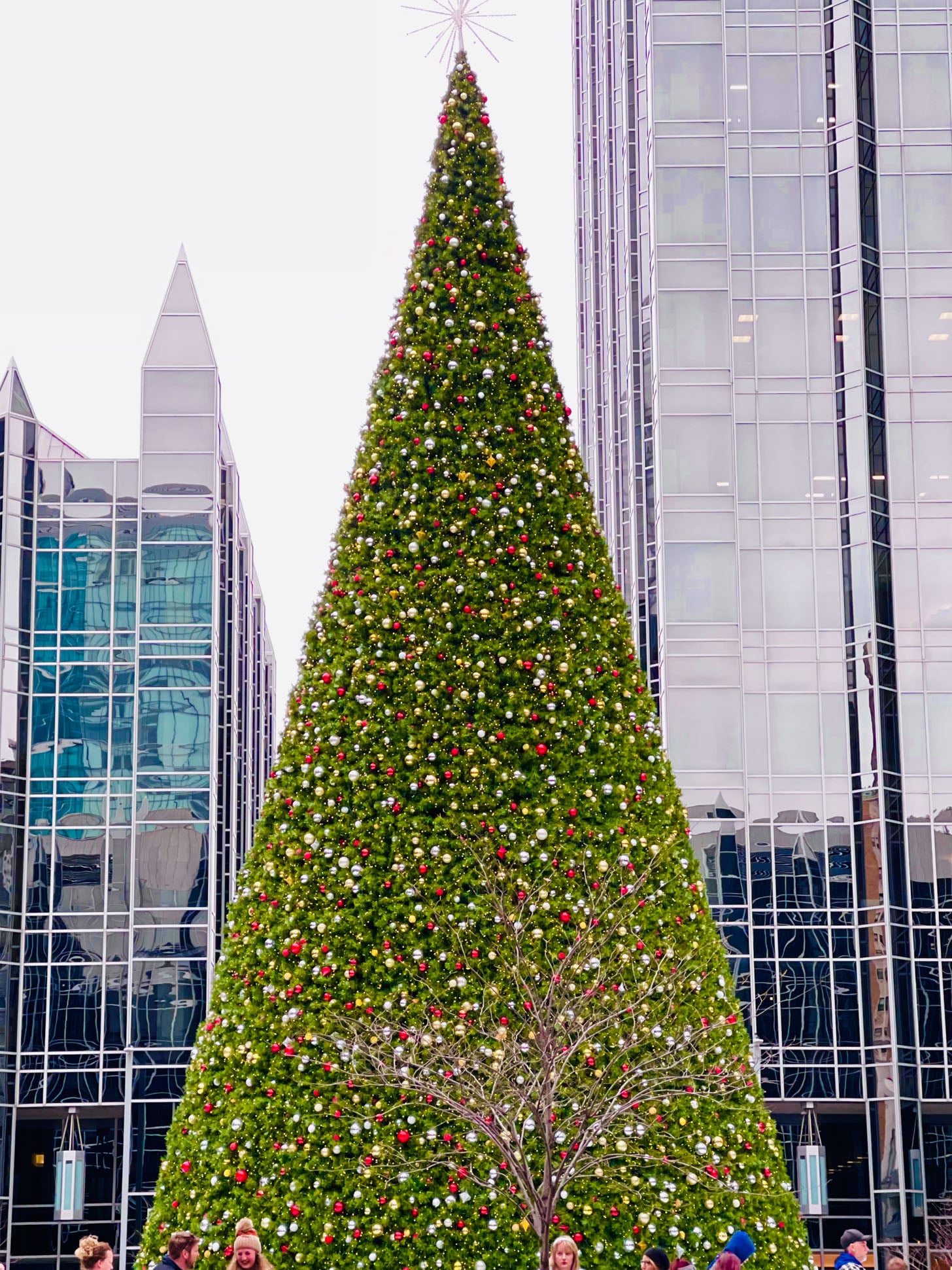 currently crushing on