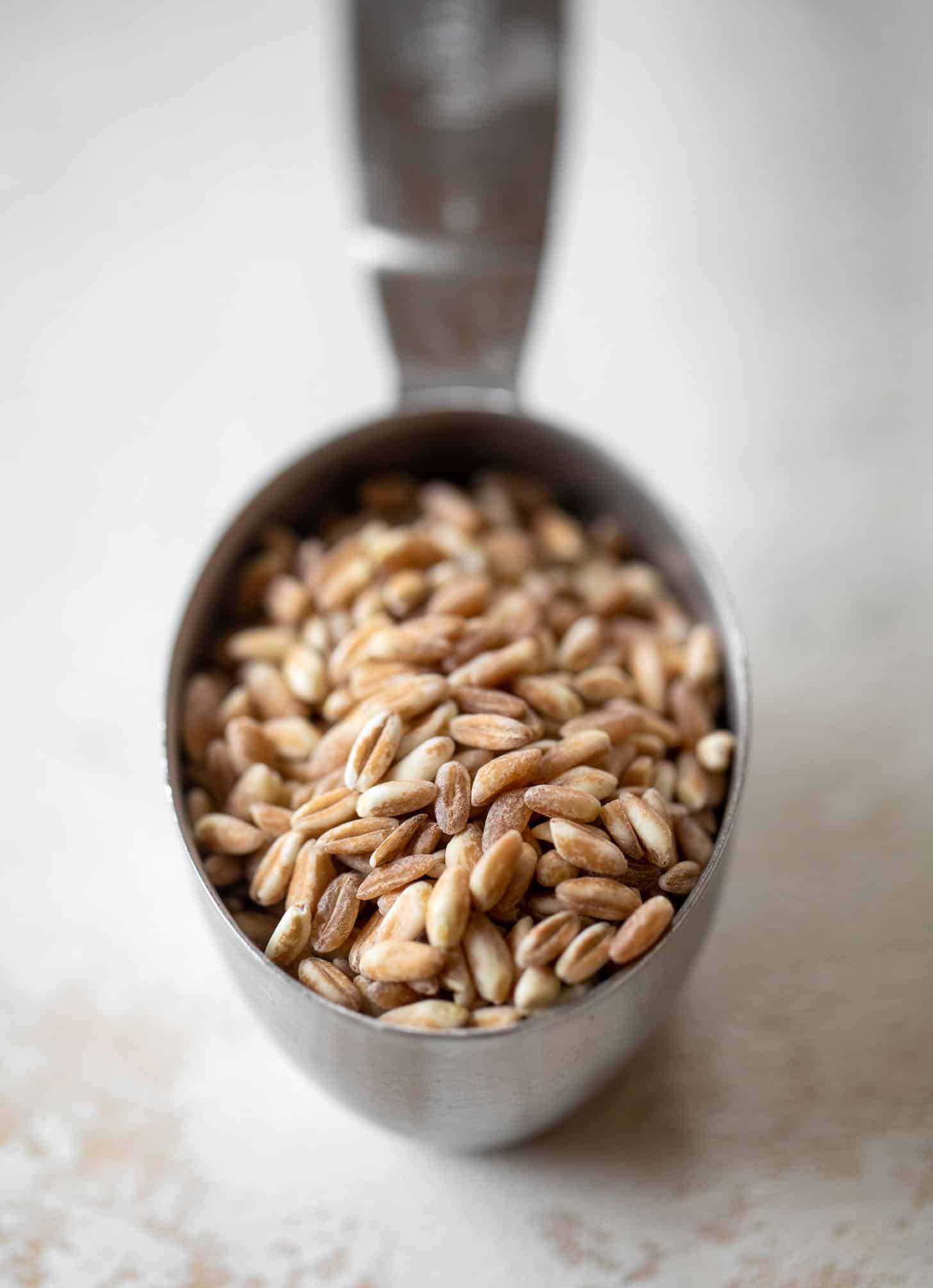 dry farro