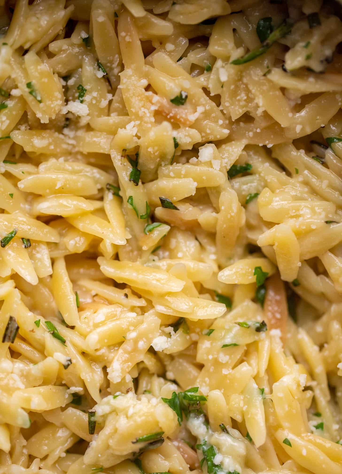 parmesan herb orzo close up