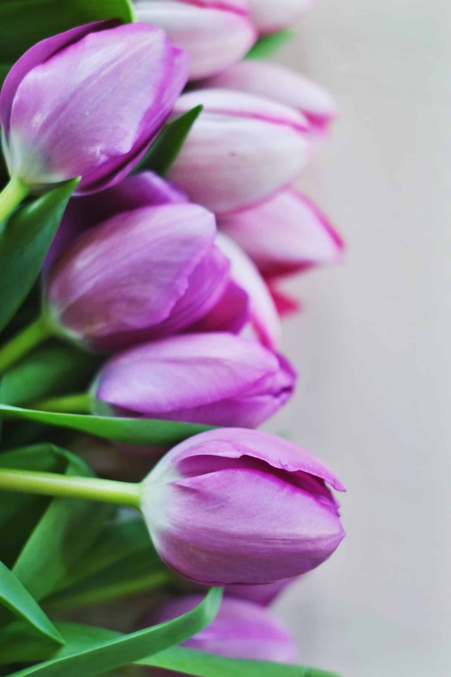 currently crushing on