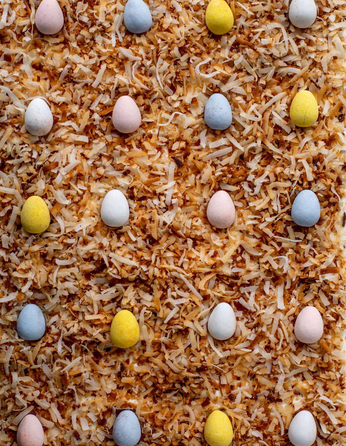 chocolate coconut easter cake