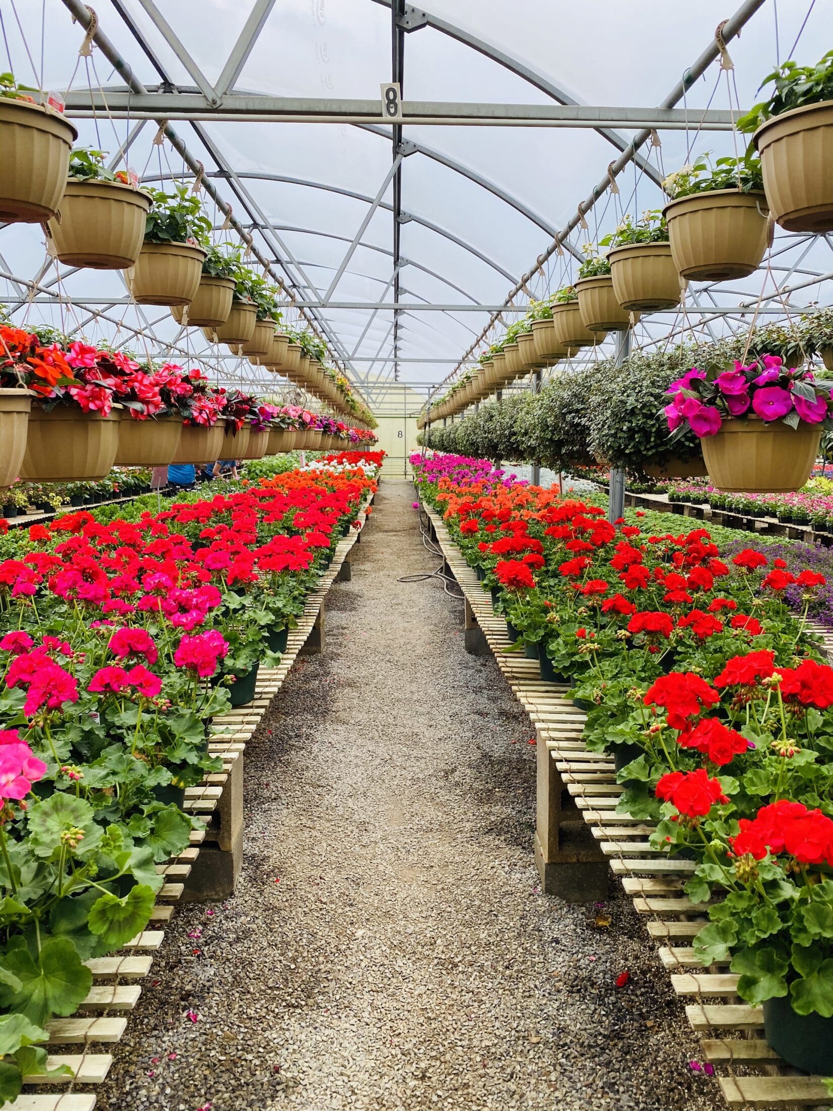 currently crushing on