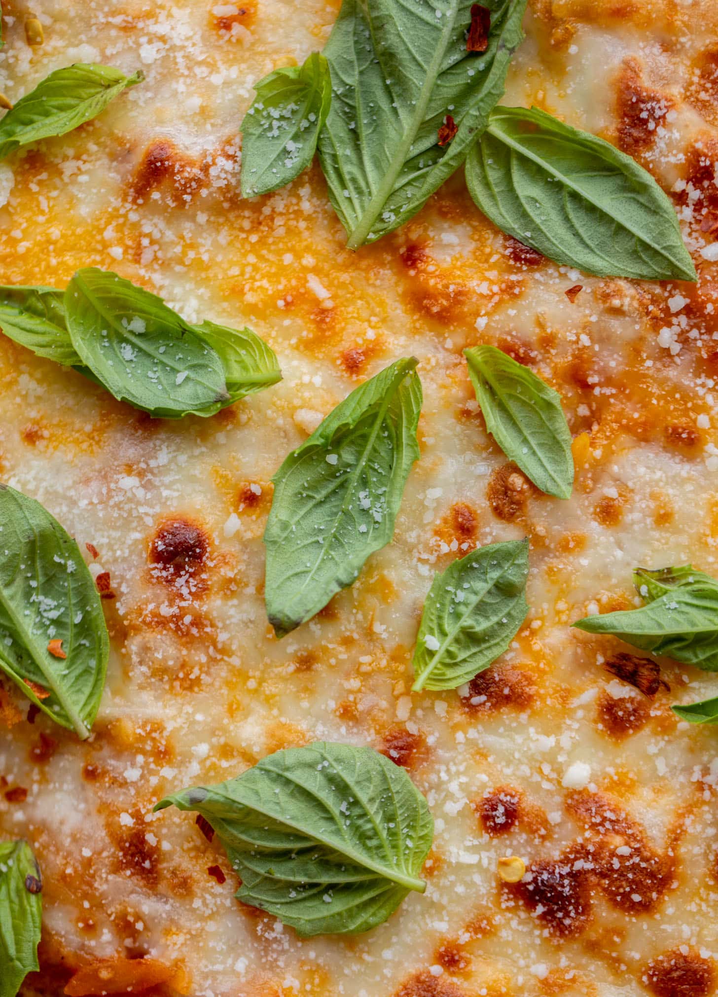 cheesy tomato basil baked orzo