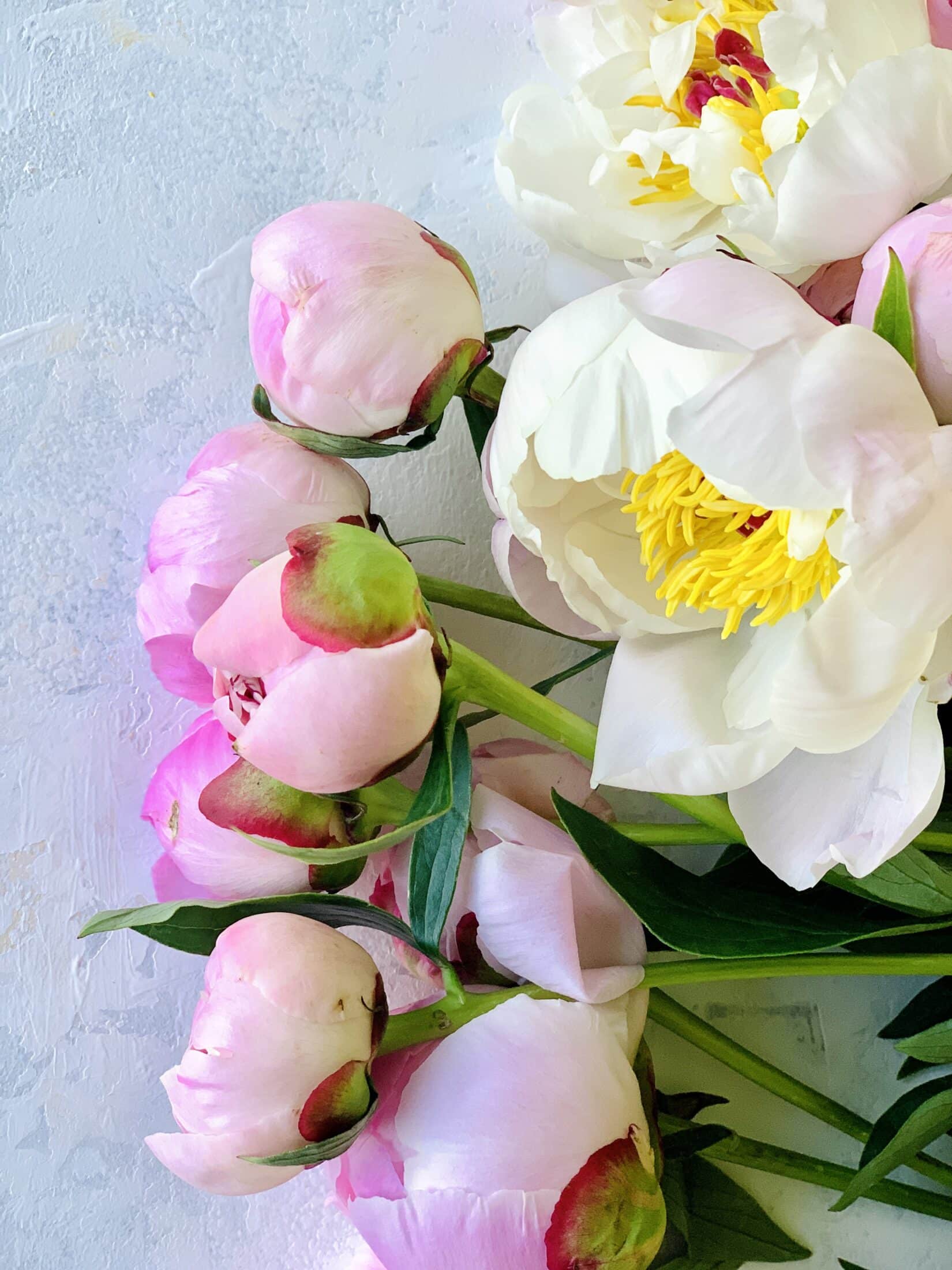 currently crushing on