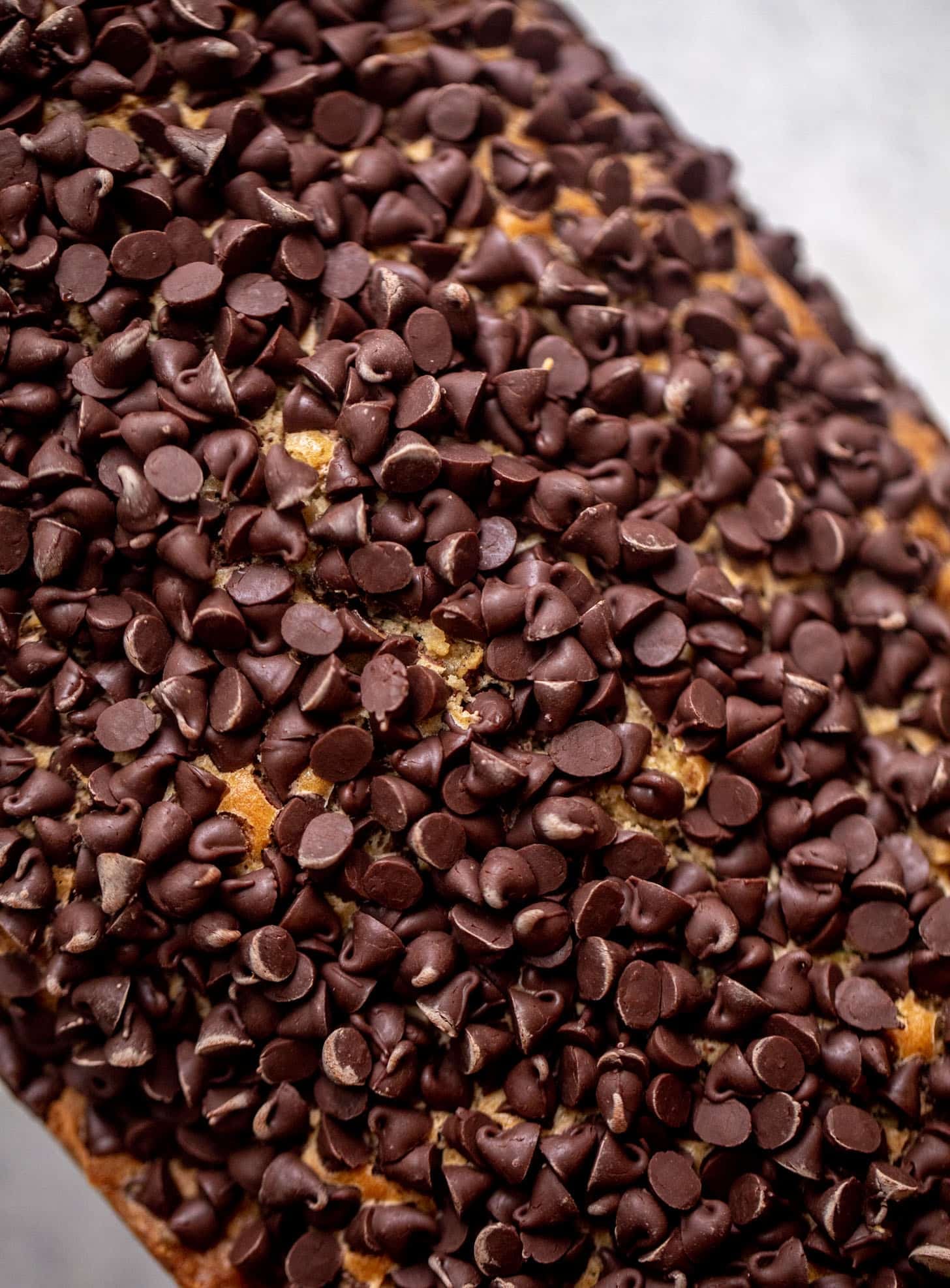 zucchini bread with chocolate chips