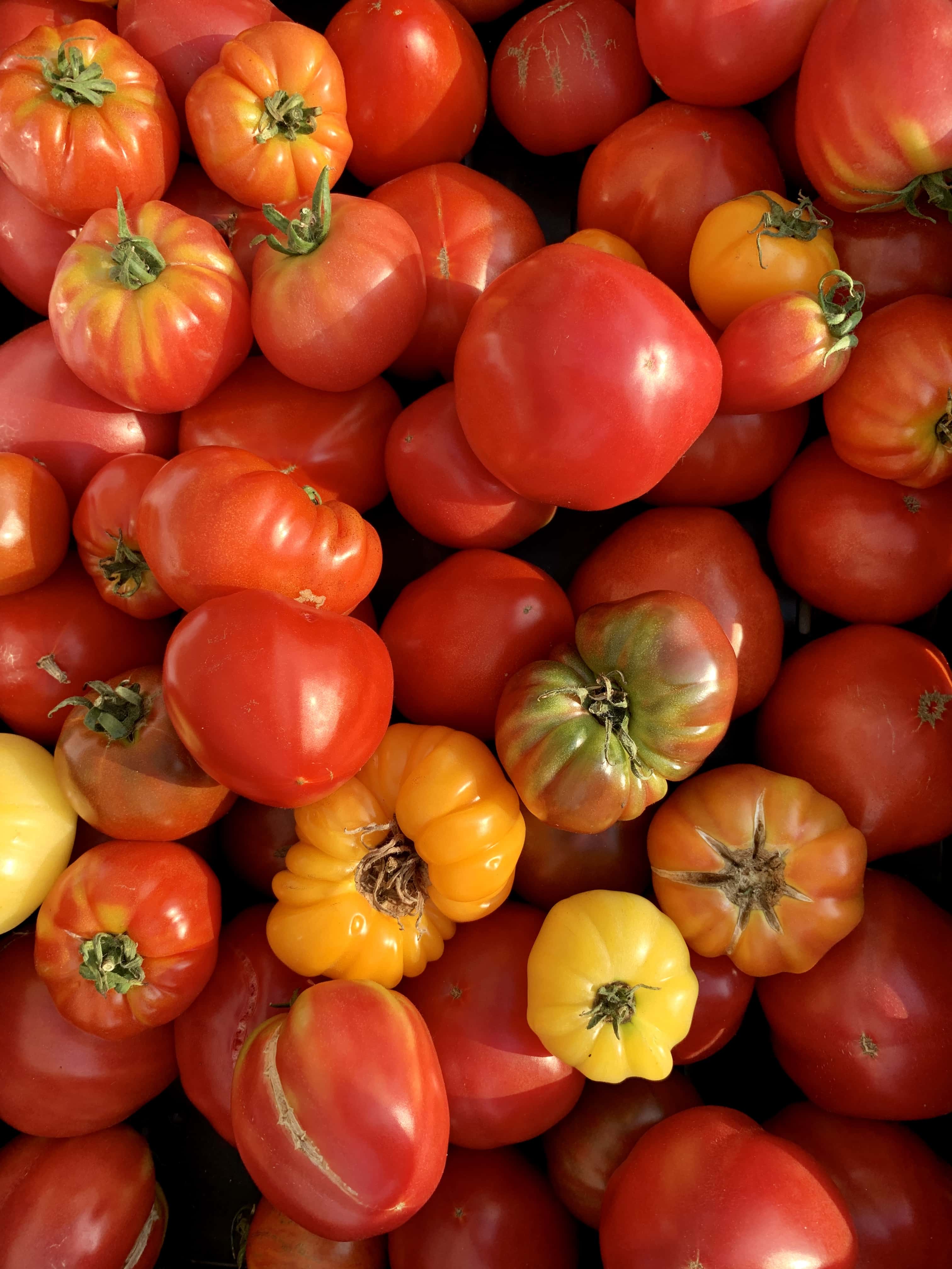 currently crushing on