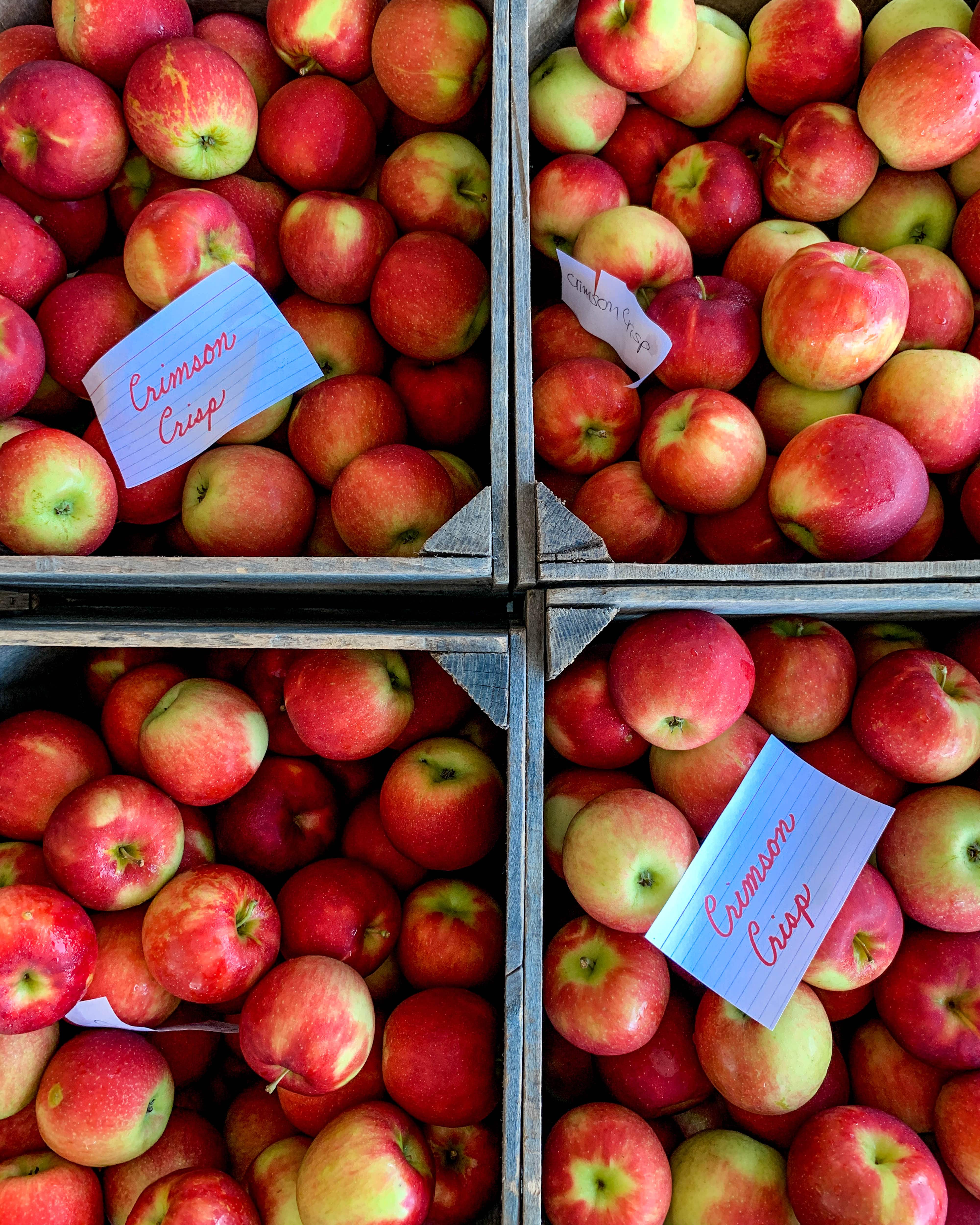 currently crushing on