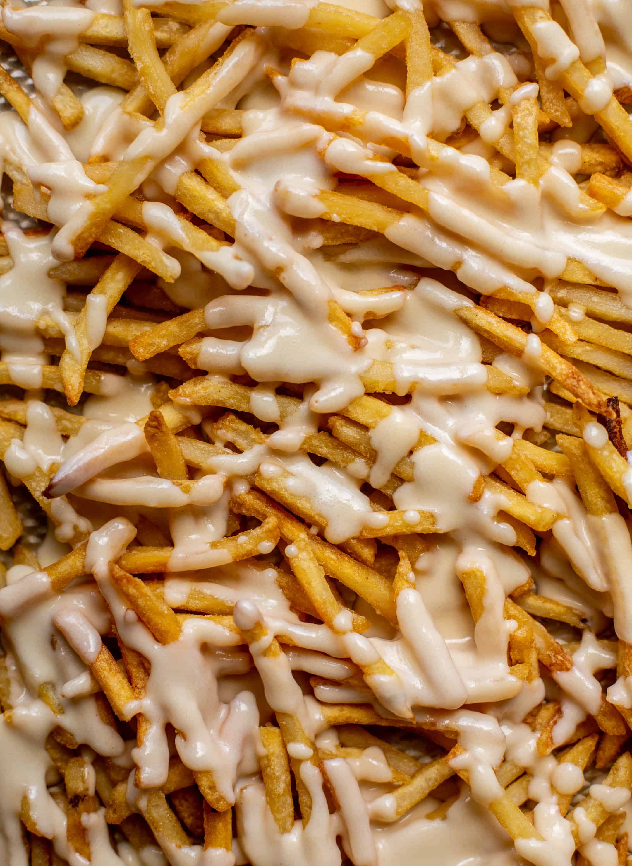 fries with cheese sauce