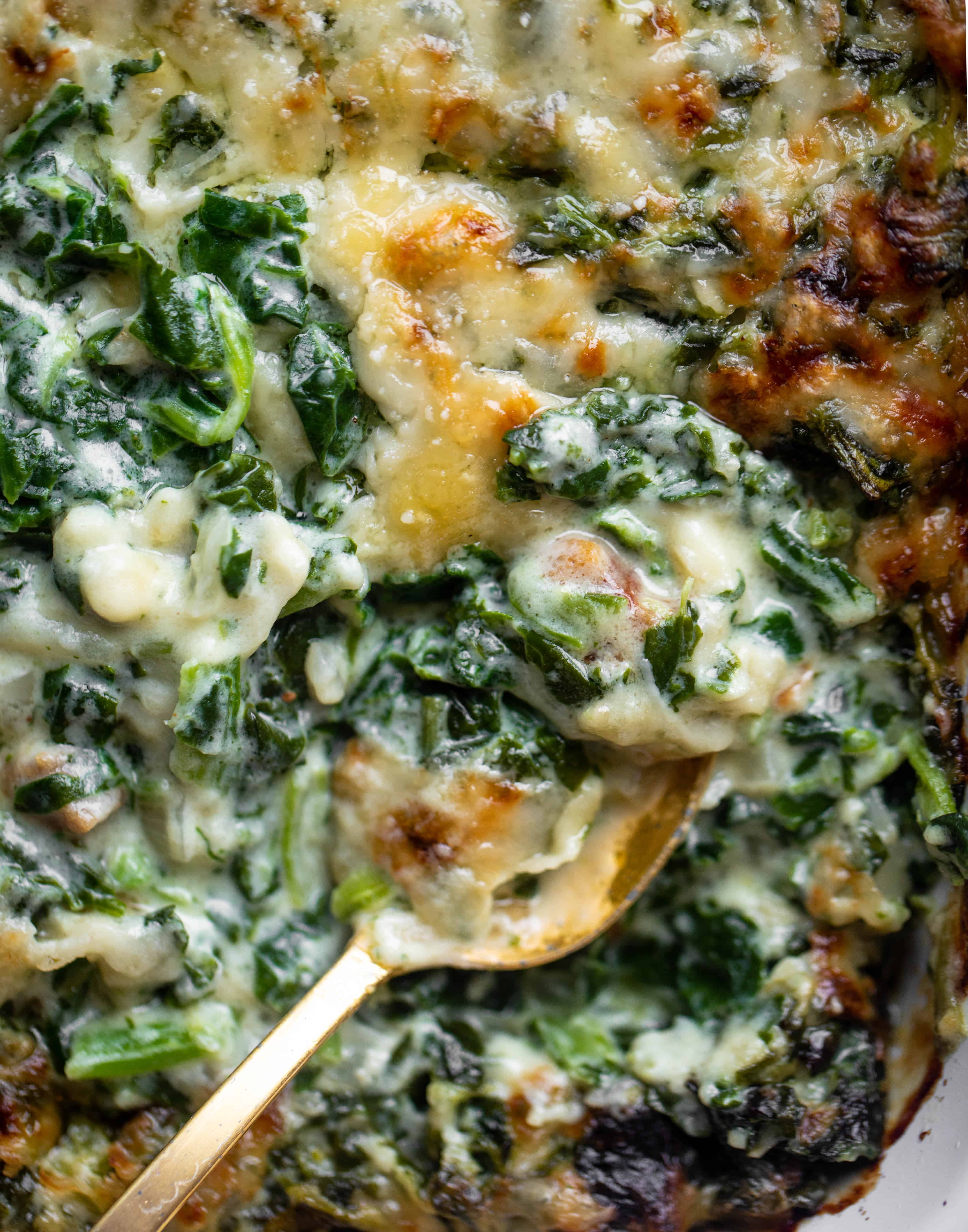 spinach gratin recipe