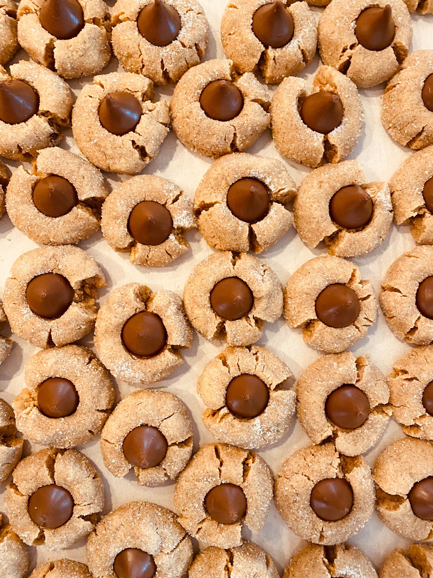 currently crushing on