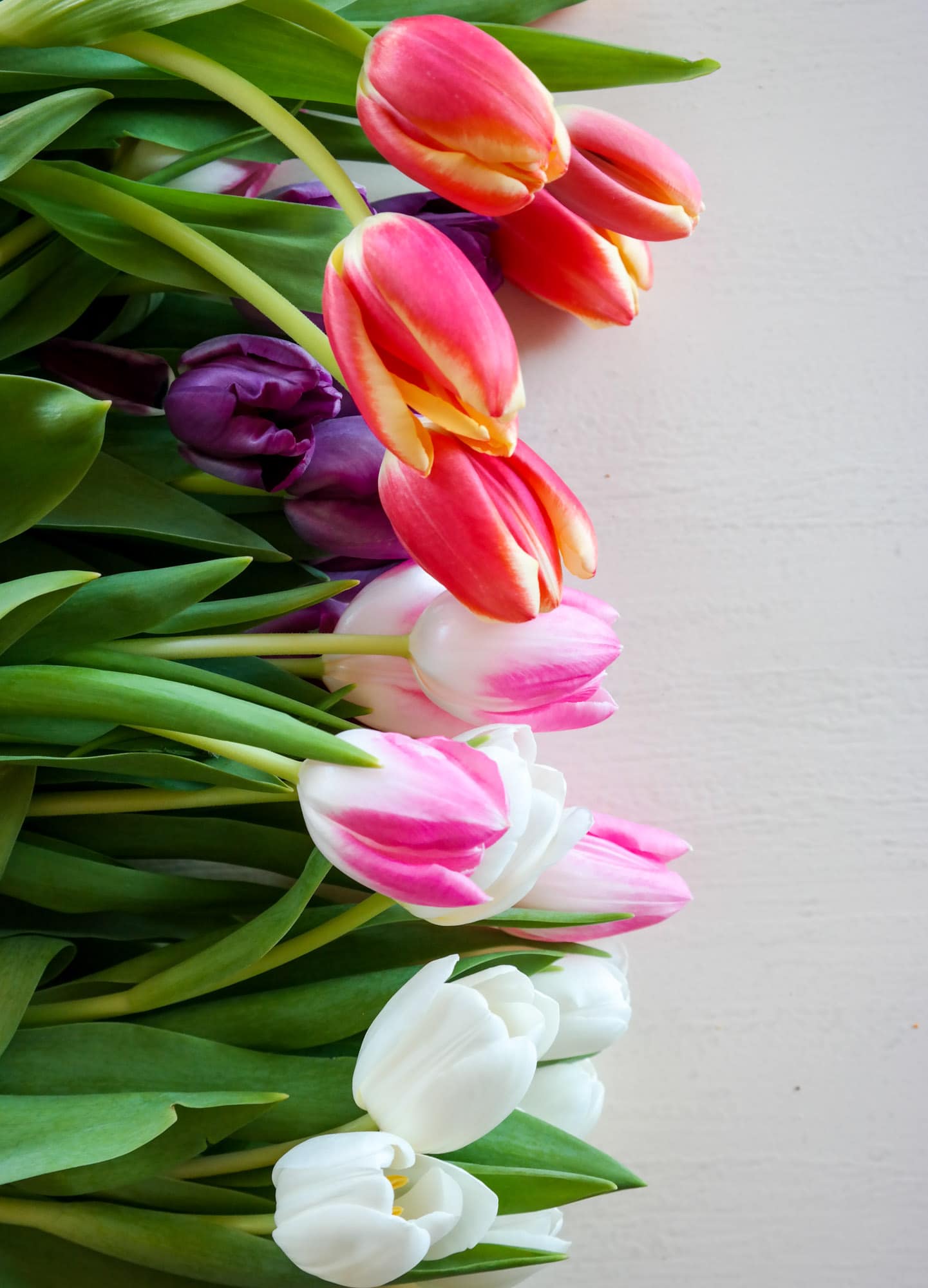 currently crushing on