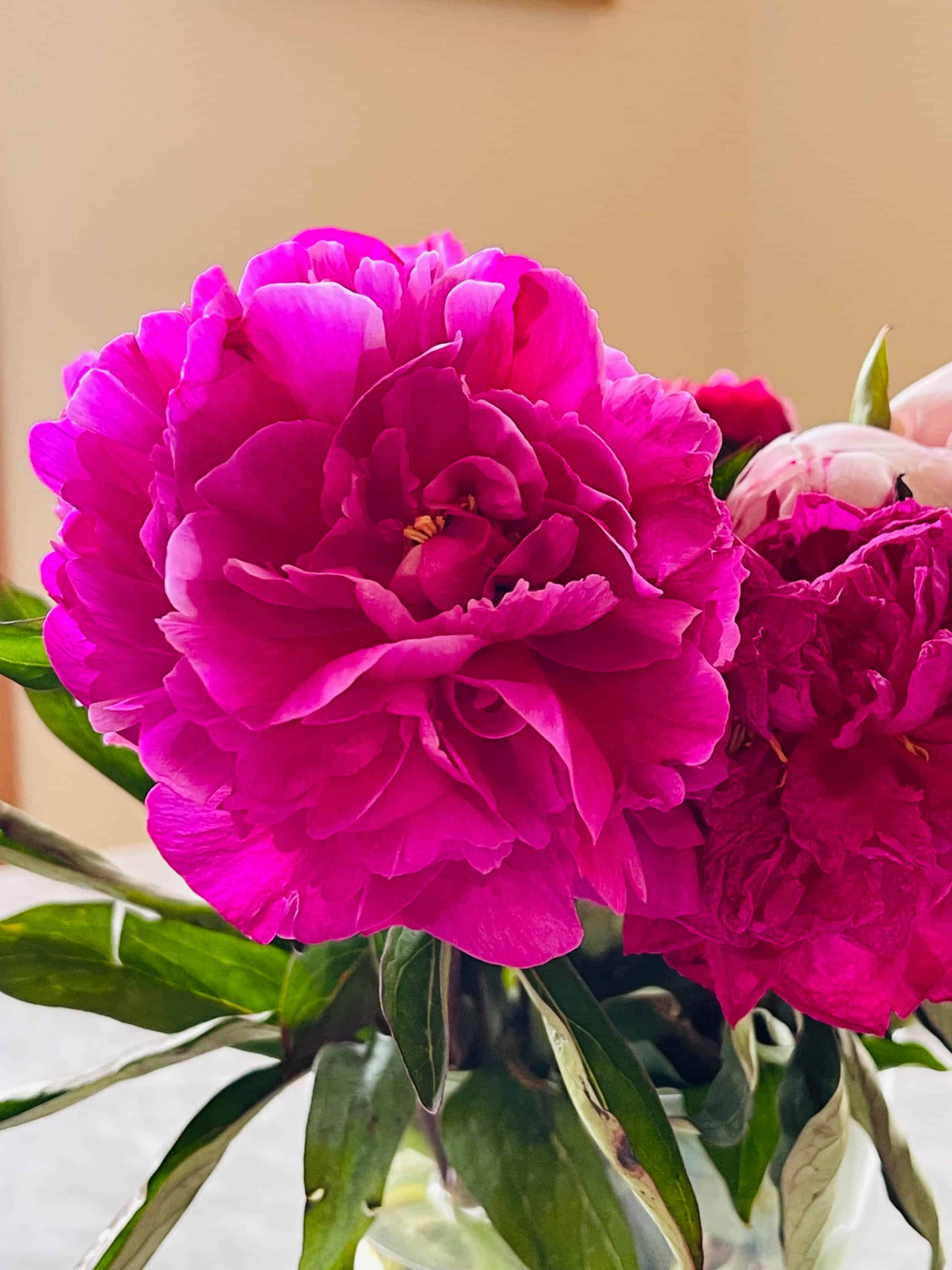 currently crushing on