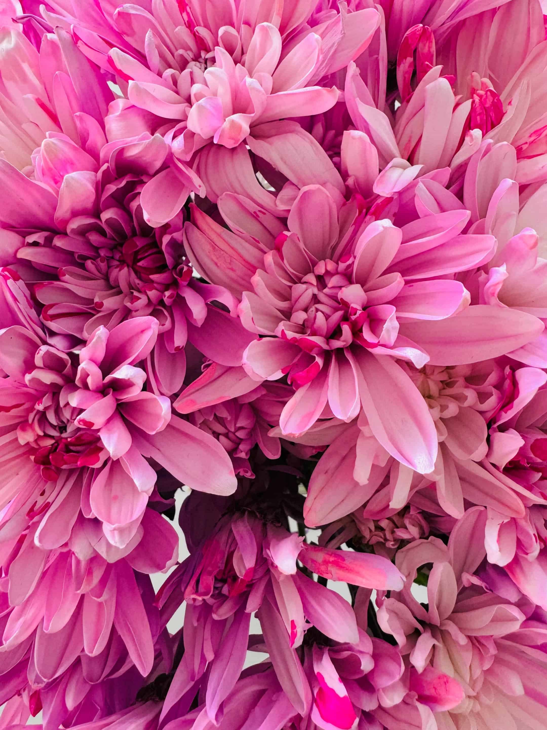 currently crushing on