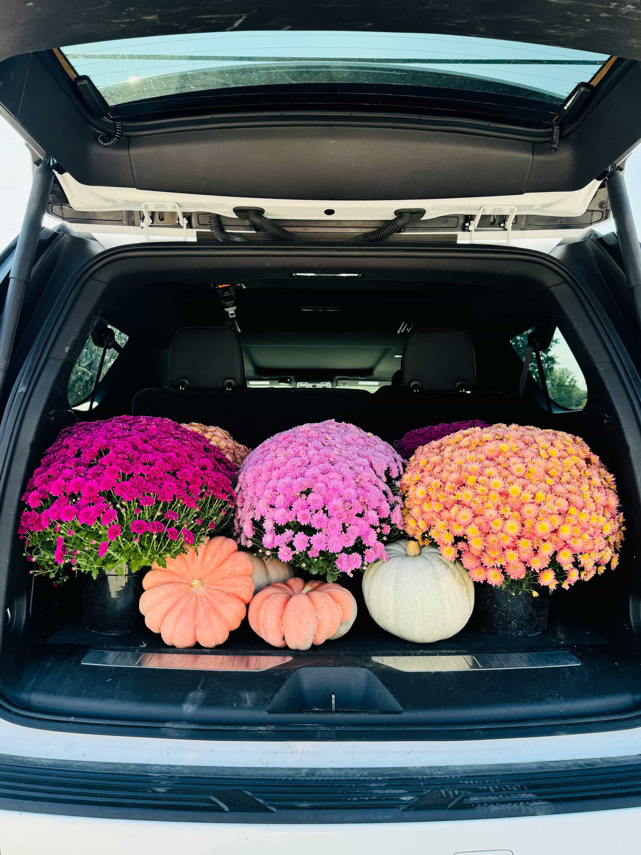 currently crushing on