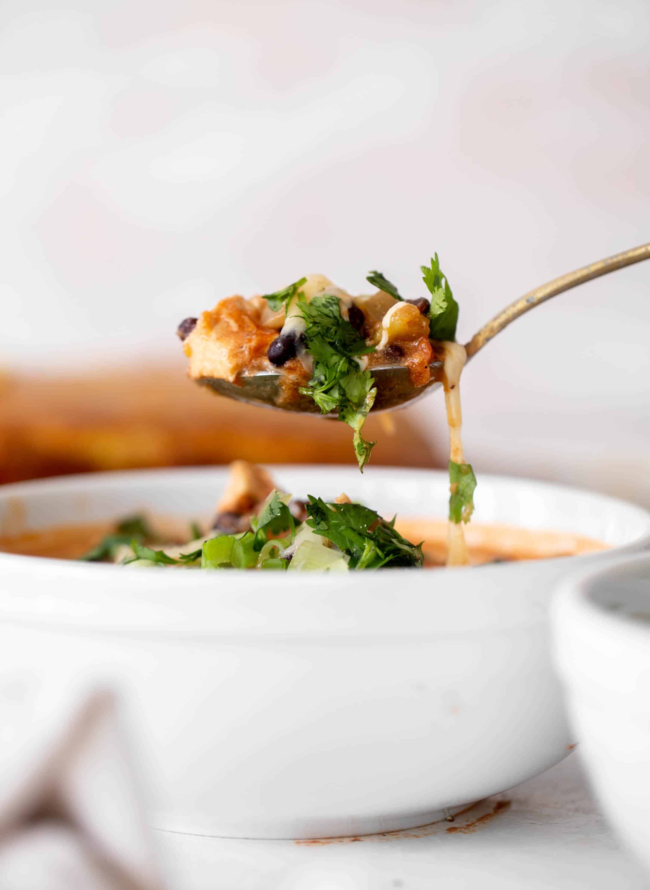 black bean chicken chili