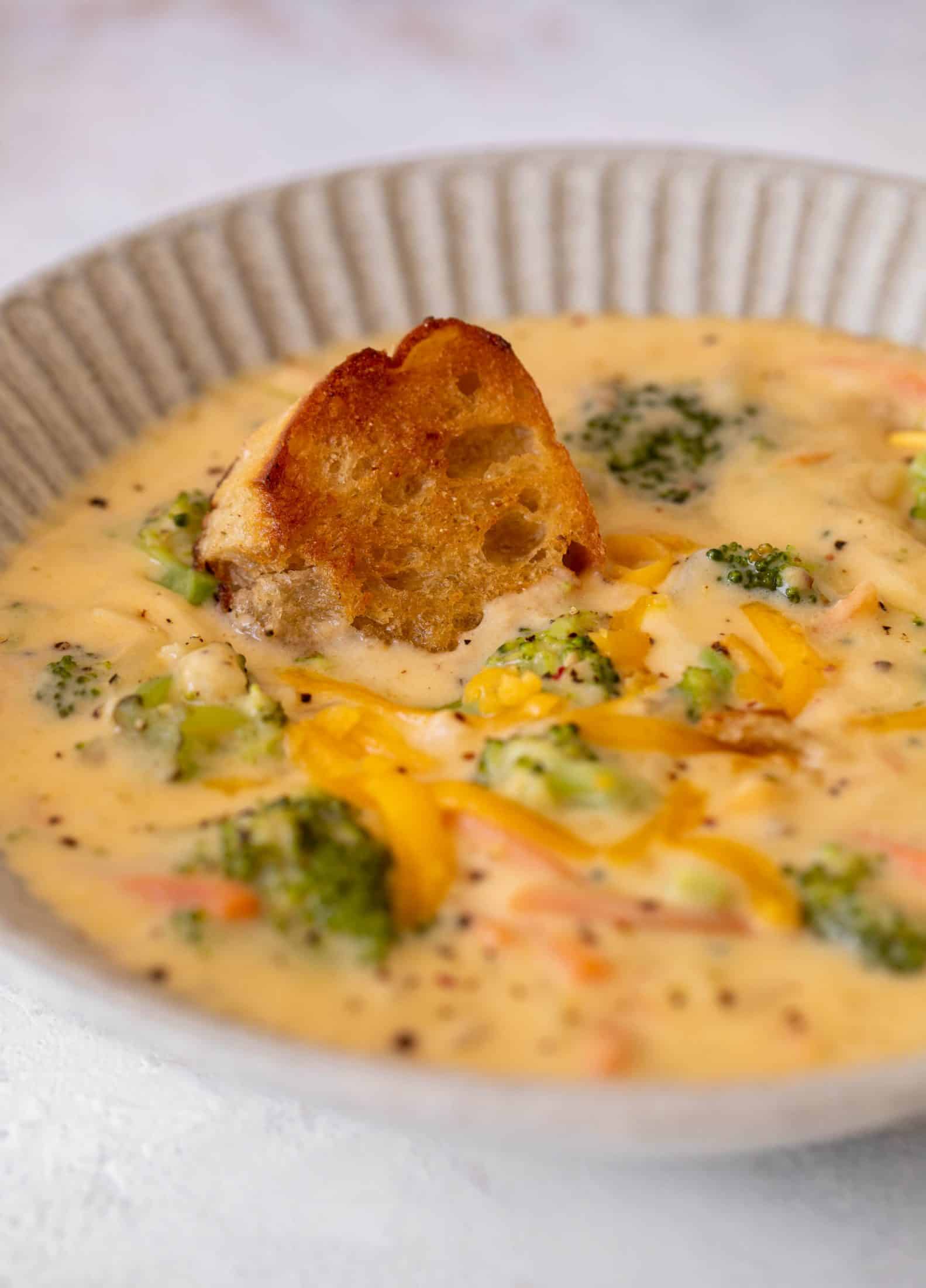 broccoli cheddar orzo soup