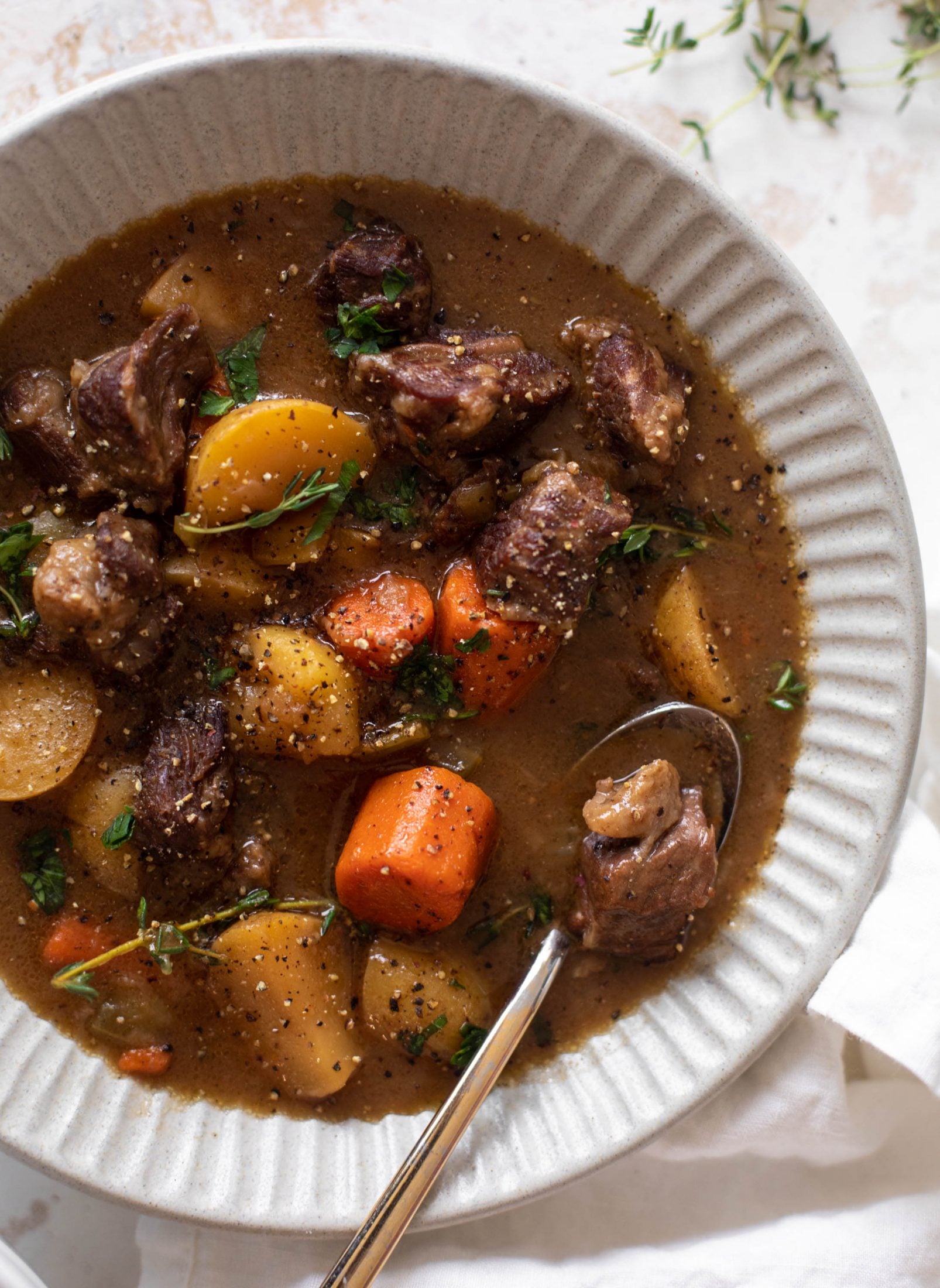 caramelized onion beef stew