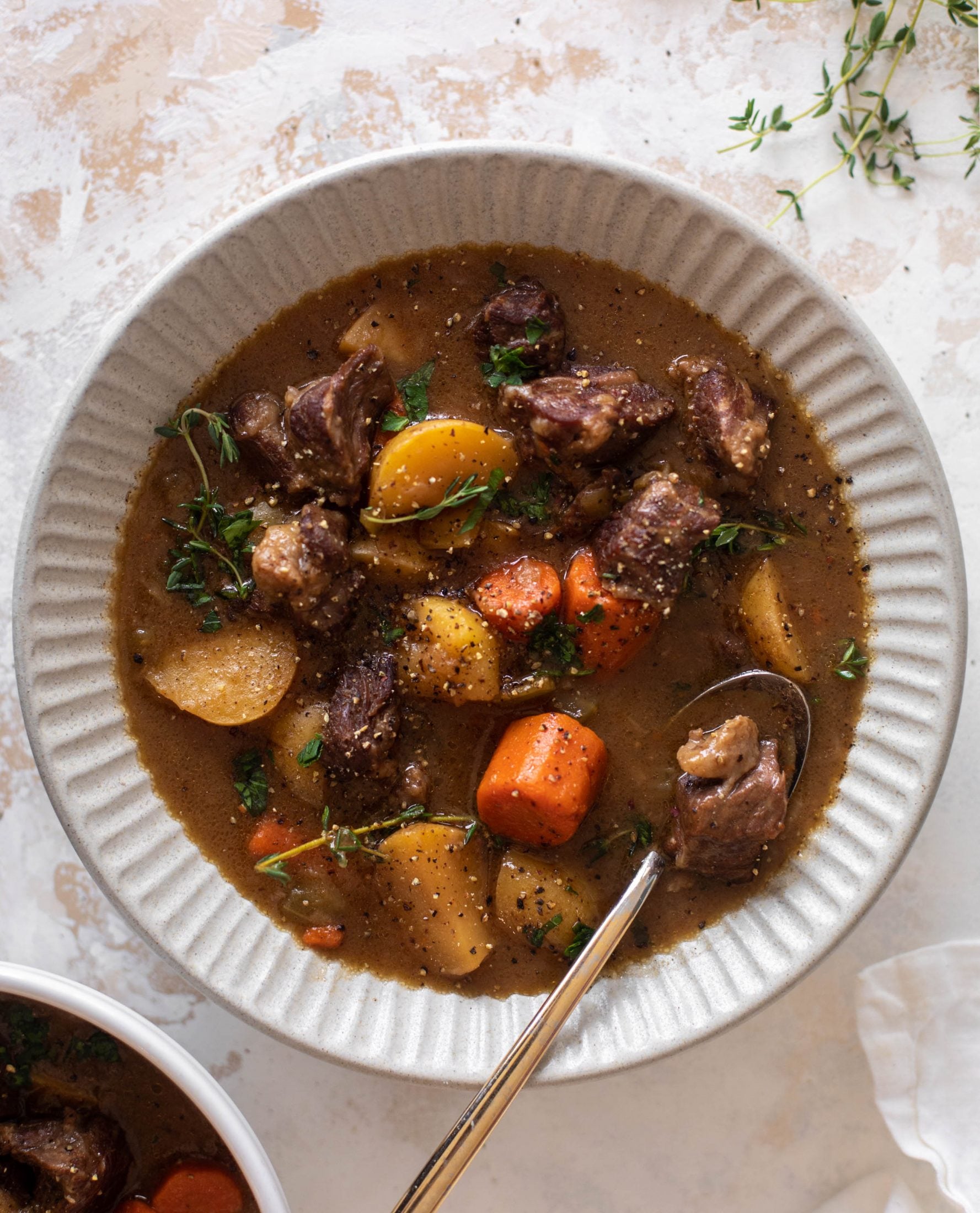 caramelized onion beef stew