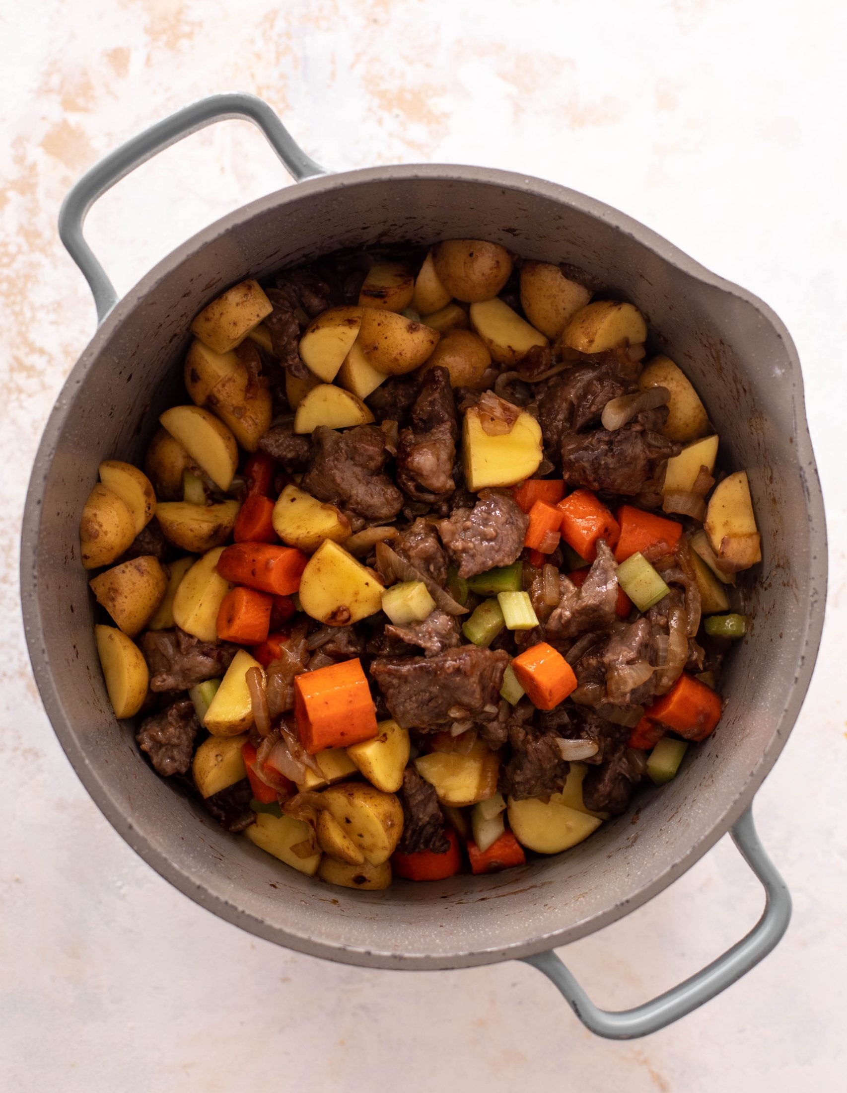 caramelized onion beef stew
