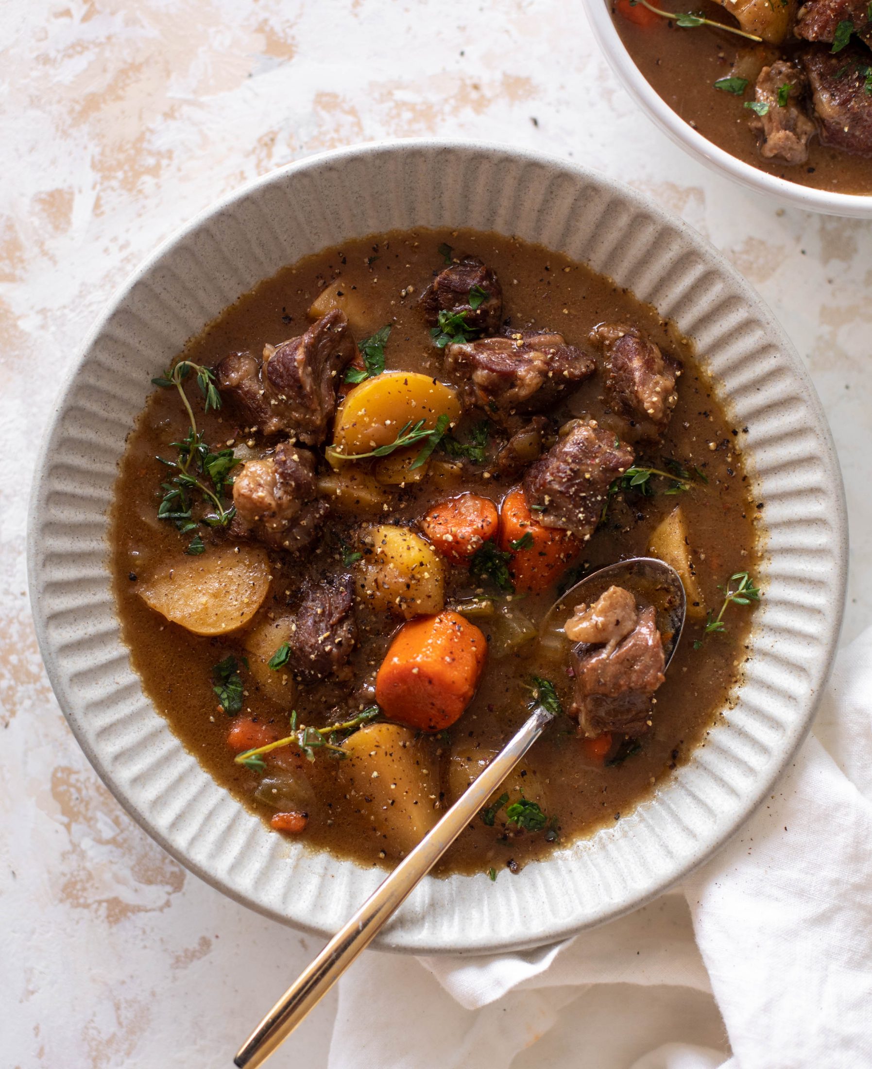 caramelized onion beef stew