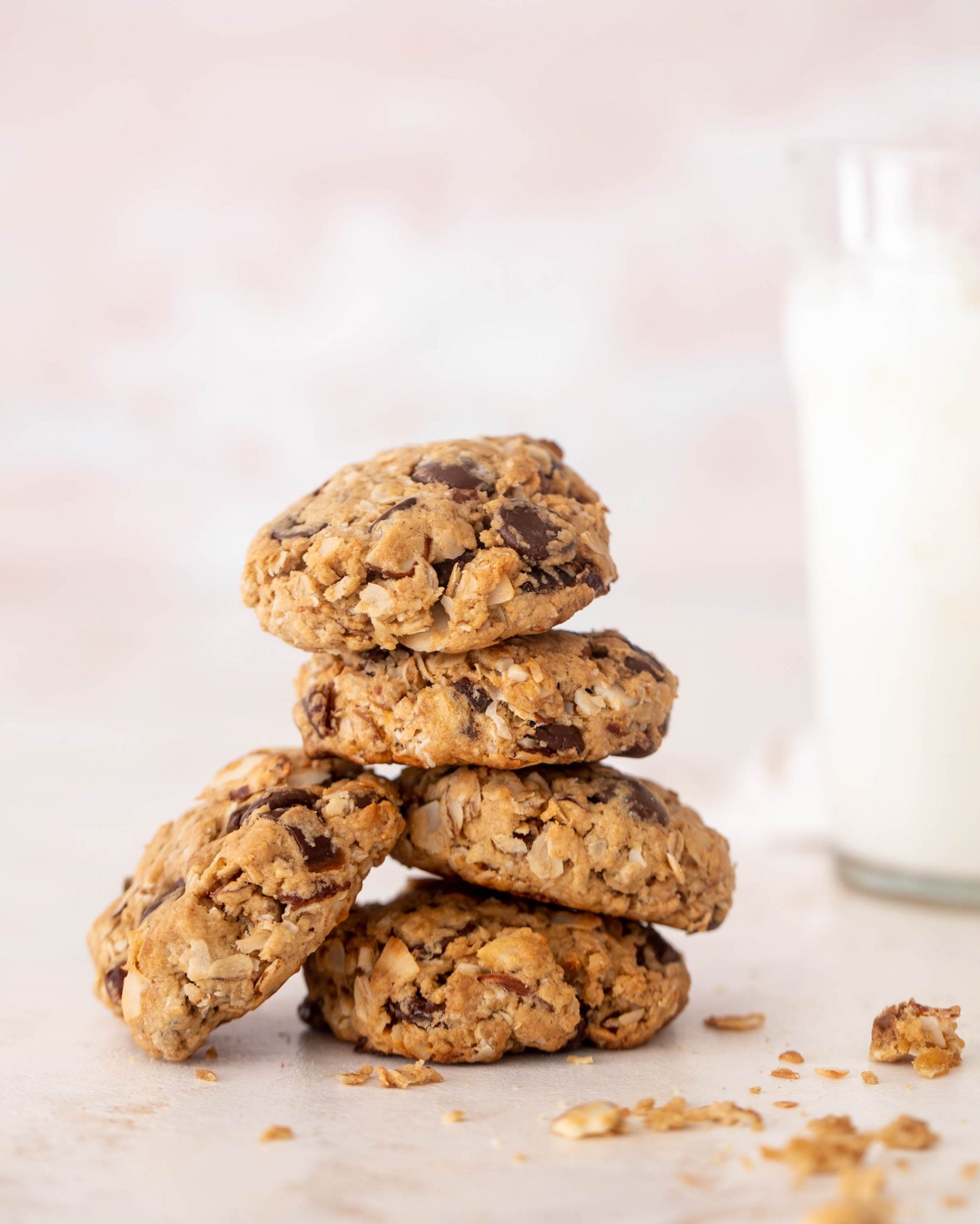 chocolate peanut butter breakfast cookies